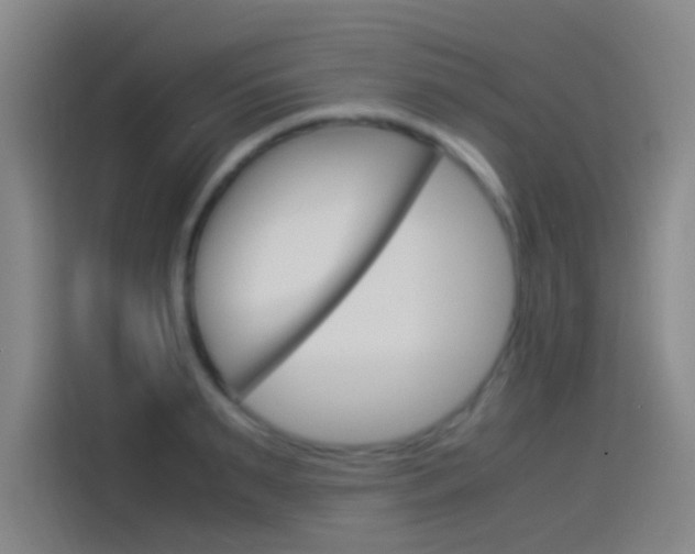 X0000114540895200910190929