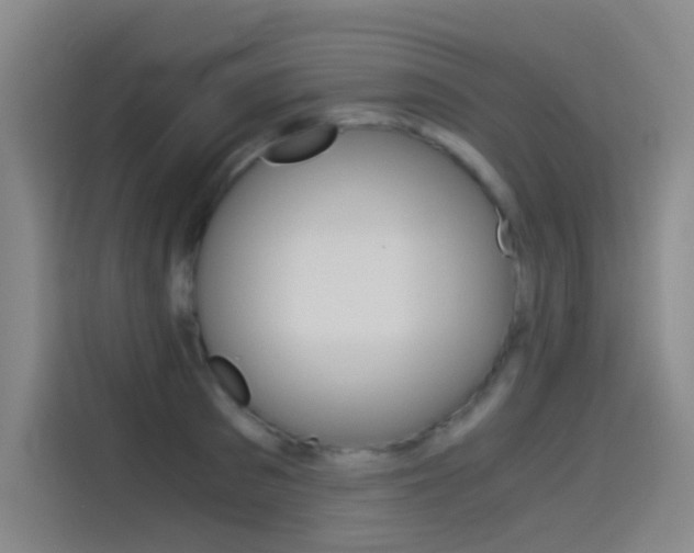 X0000114540897200910190929