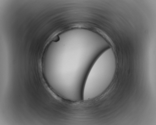 X0000114540898200910190929