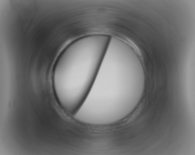 X0000114540899200910190929