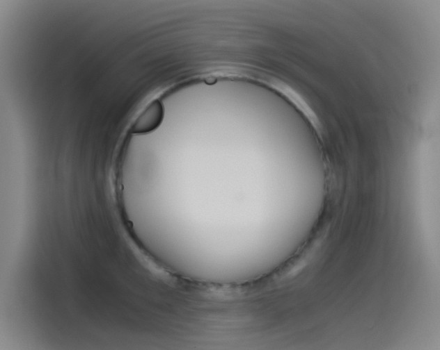 X0000114540901200910190929