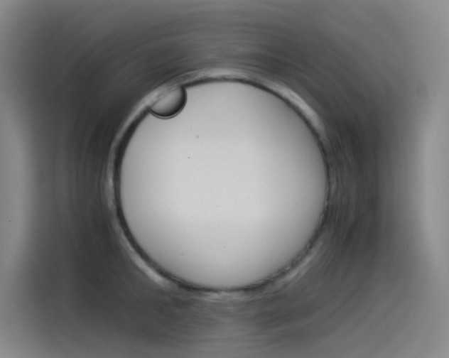 X0000114540902200910190929
