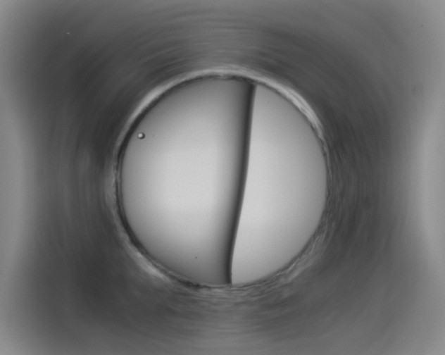X0000114540903200910190929
