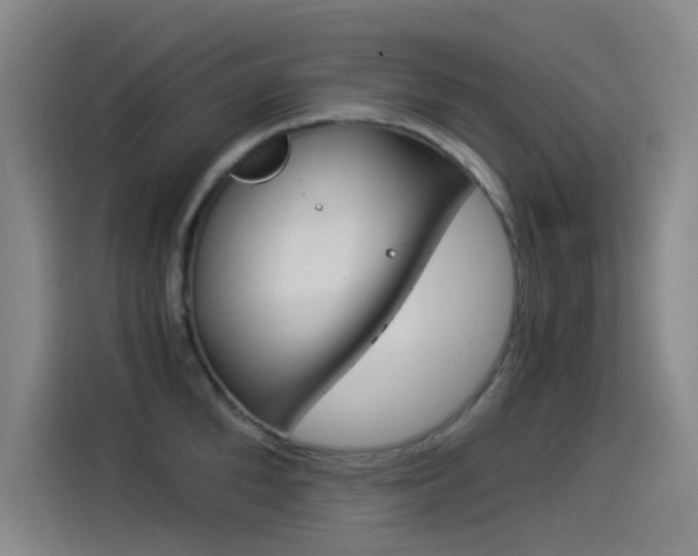 X0000114540904200910190929