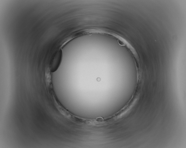 X0000114540905200910190929
