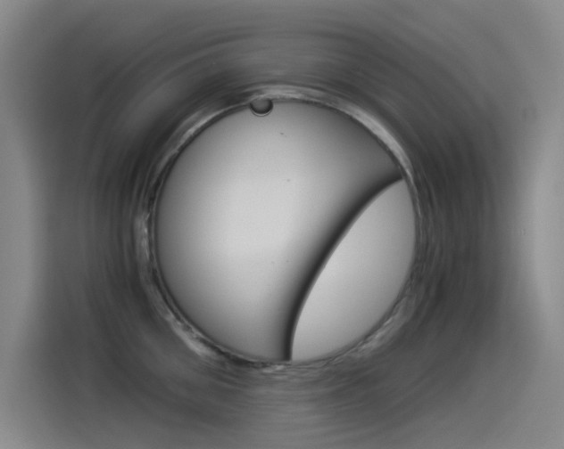 X0000114540906200910190929