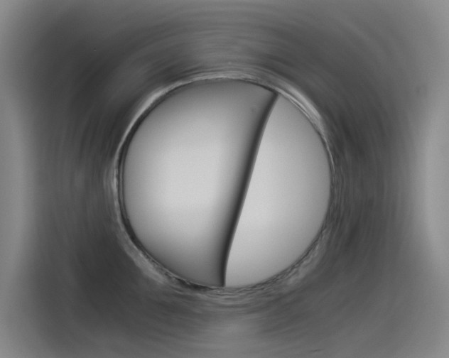 X0000114540907200910190929