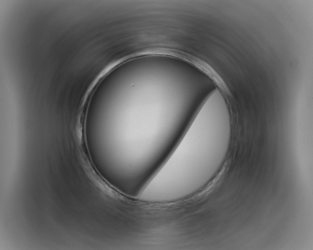 X0000114540908200910190929