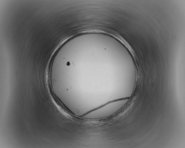X0000114540909200910190929