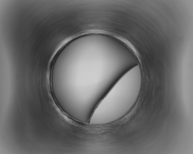 X0000114540910200910190929
