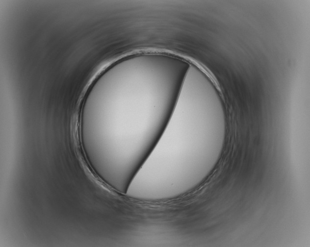 X0000114540911200910190929