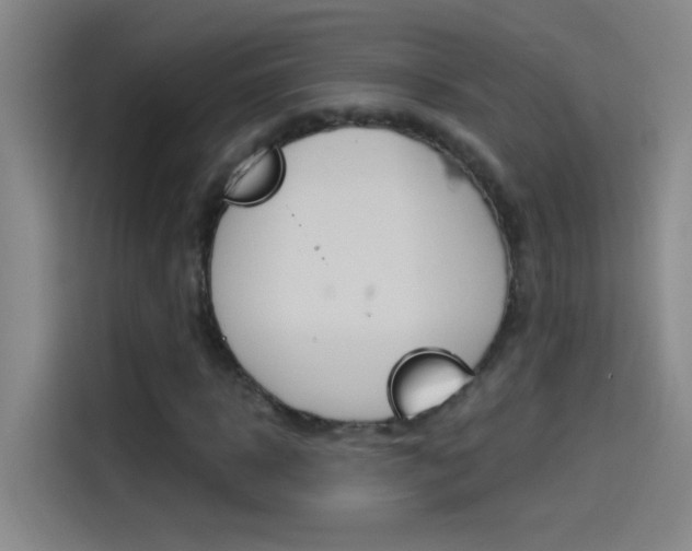 X0000114540918200910190928