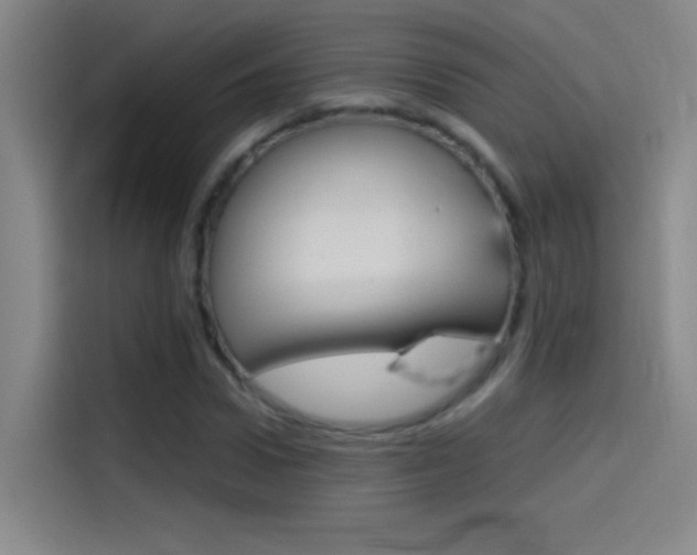 X0000114540922200910190928