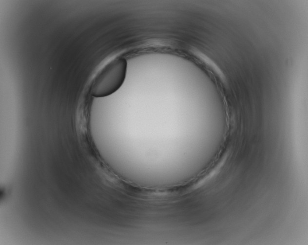 X0000114540925200910190928