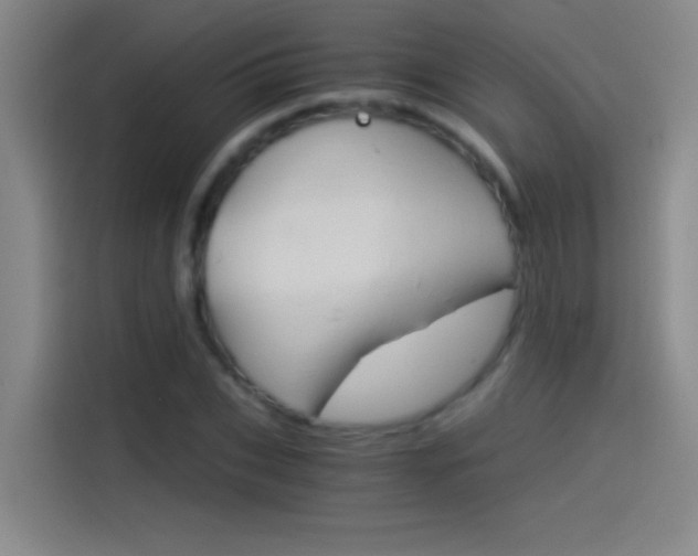 X0000114540927200910190928