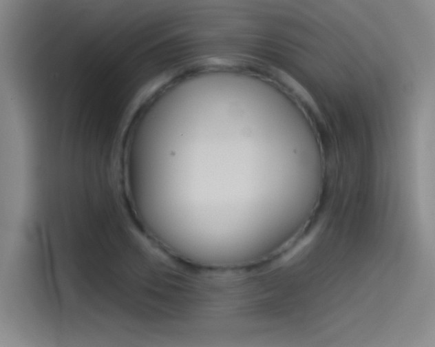 X0000114540930200910190928