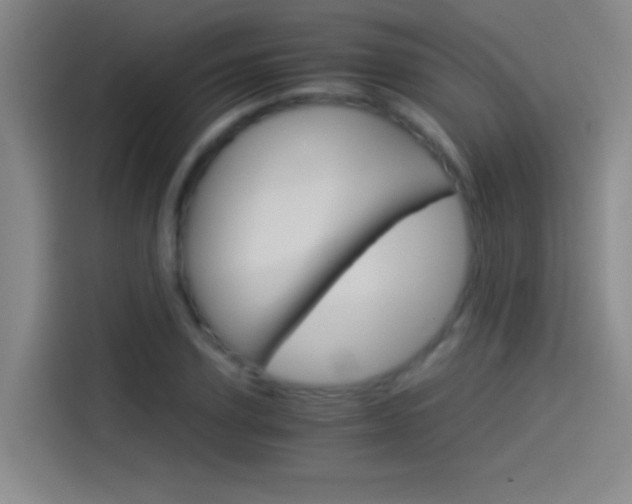 X0000114540931200910190928
