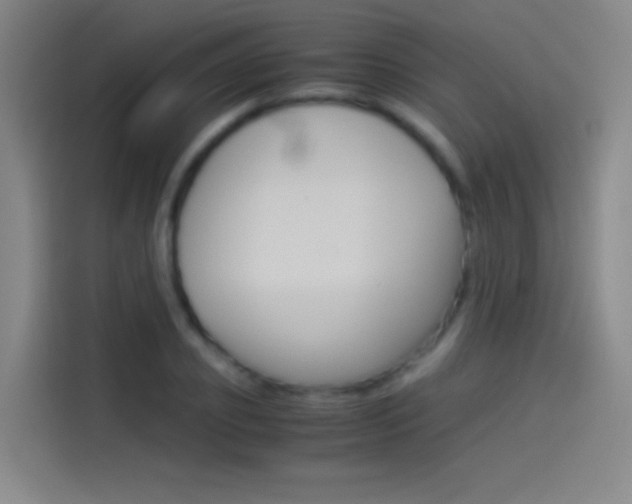 X0000114540933200910190928