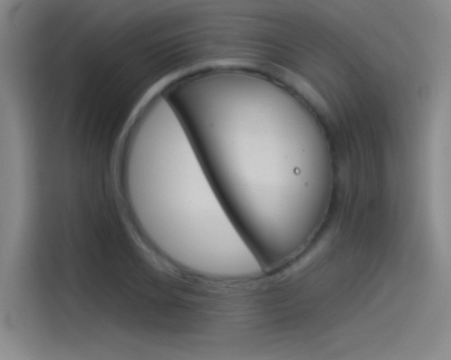 X0000114540934200910190928