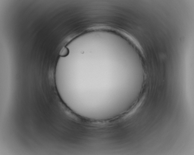X0000114540937200910190928