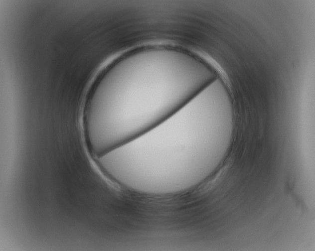 X0000114540943200910190928