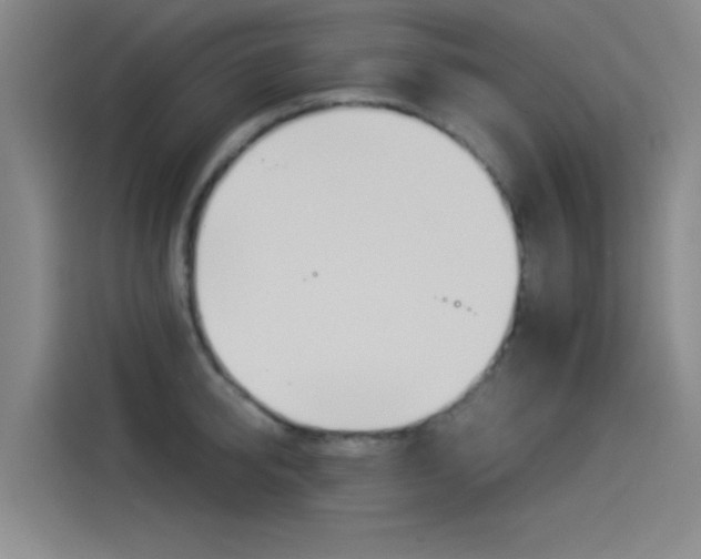 X0000114540950200910190928