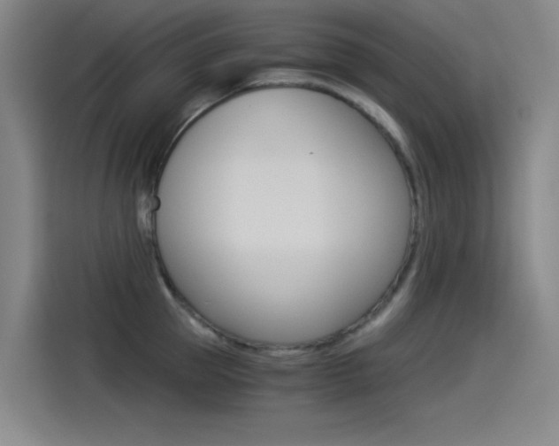 X0000114540953200910190928