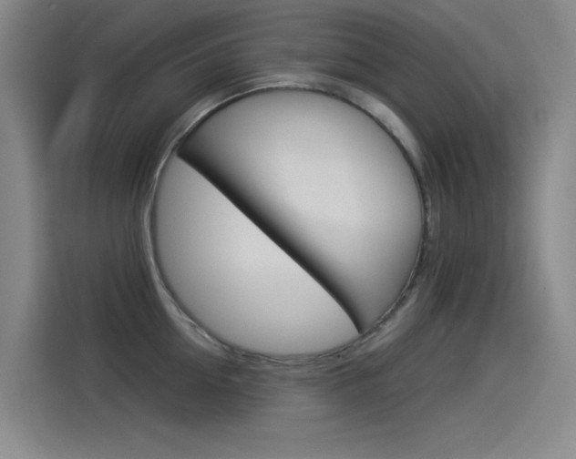 X0000114540954200910190929