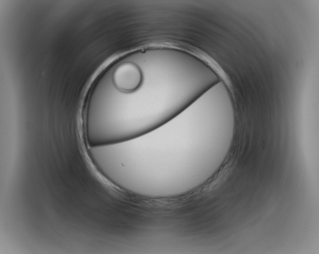 X0000114540955200910190929