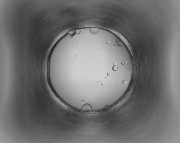 X0000114540957200910190929