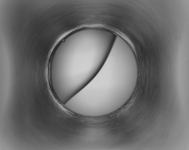 X0000114540959200910190929
