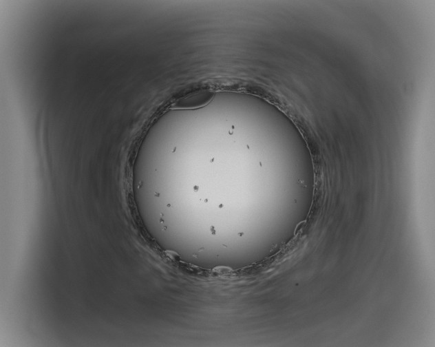 X0000114540961200910190928