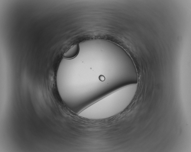 X0000114540963200910190928