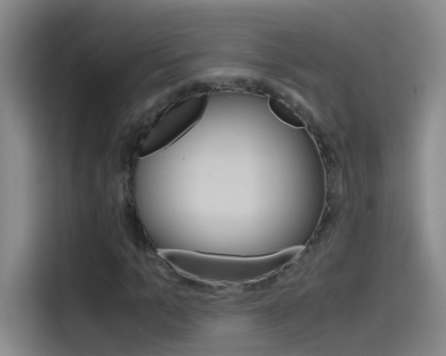 X0000114540965200910190928