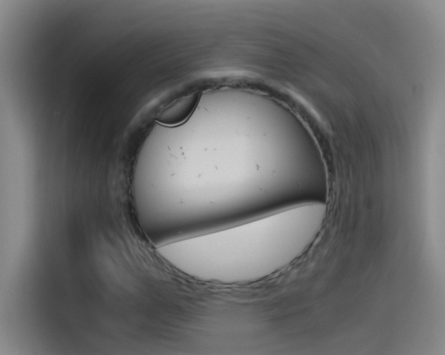 X0000114540967200910190928