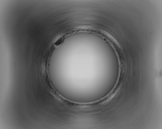 X0000114540969200910190928