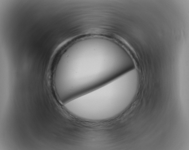 X0000114540971200910190928
