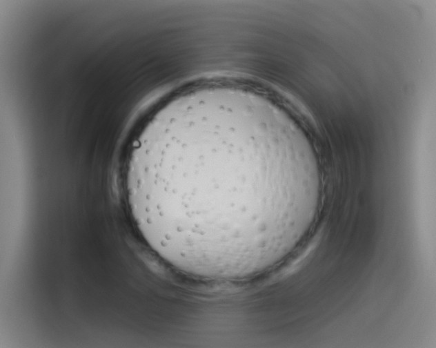 X0000114540974200910190928