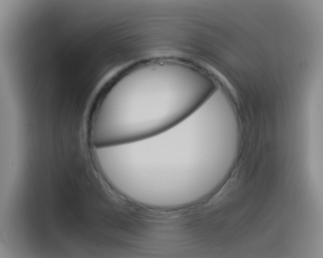 X0000114540975200910190928
