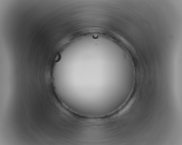 X0000114540977200910190928