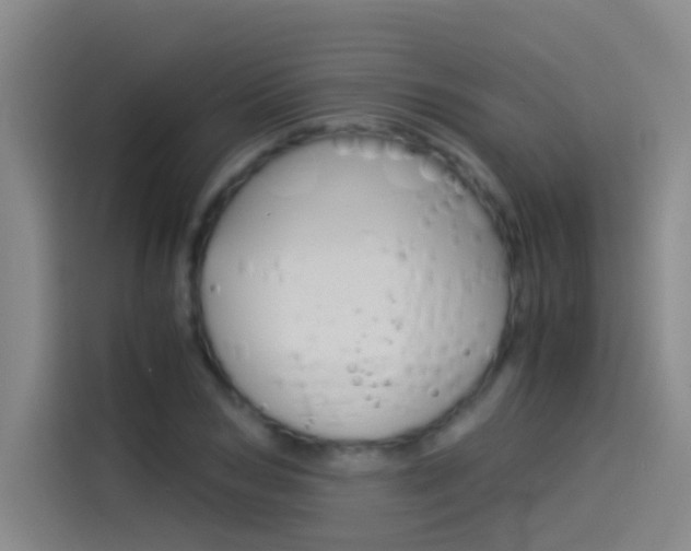 X0000114540978200910190928