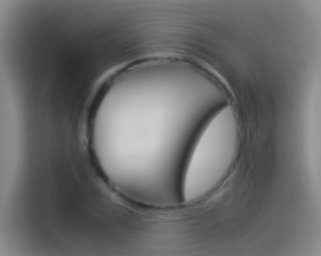 X0000114540979200910190928