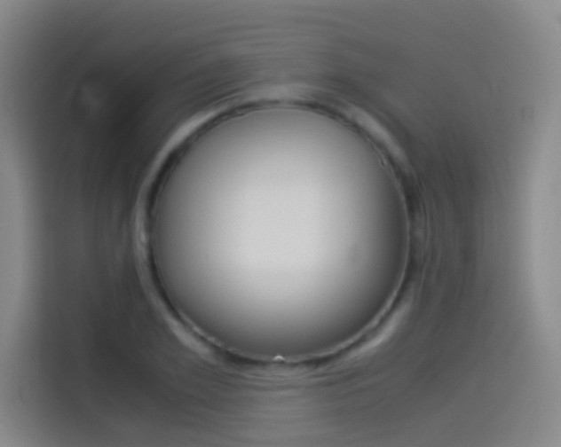X0000114540981200910190928