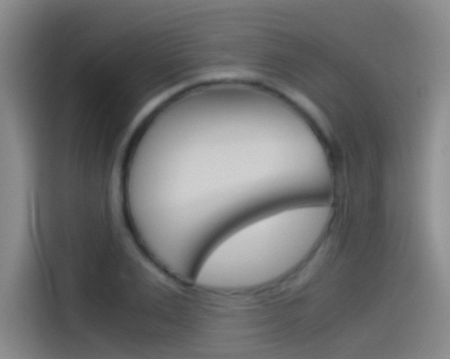 X0000114540983200910190928