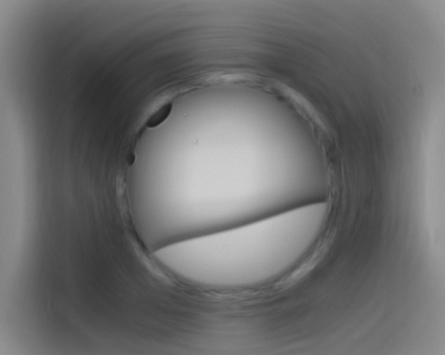 X0000114540985200910190928