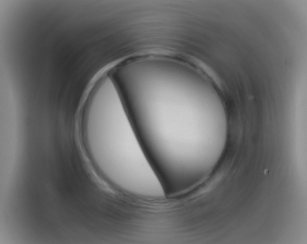 X0000114540987200910190928