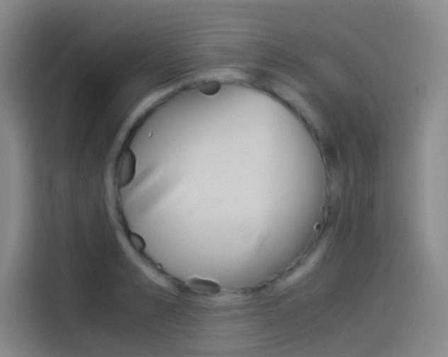 X0000114540989200910190928