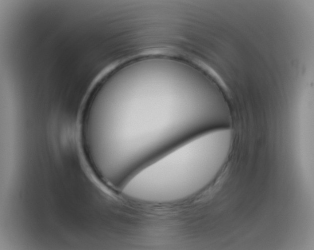 X0000114540991200910190928