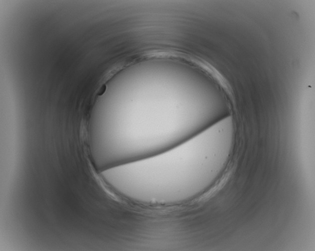 X0000114540993200910190928