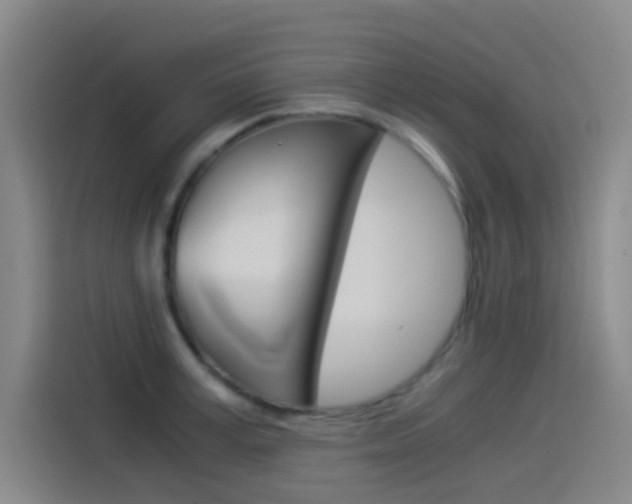 X0000114540995200910190928